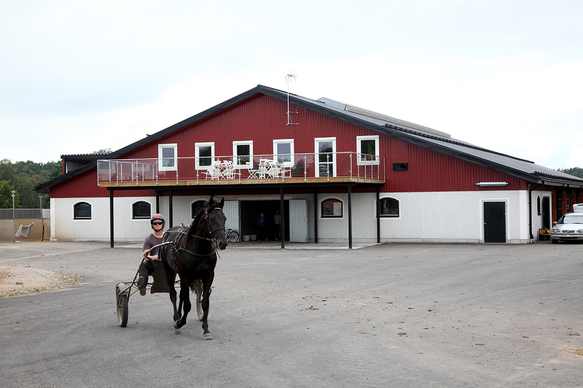 Stall, Fågelmara